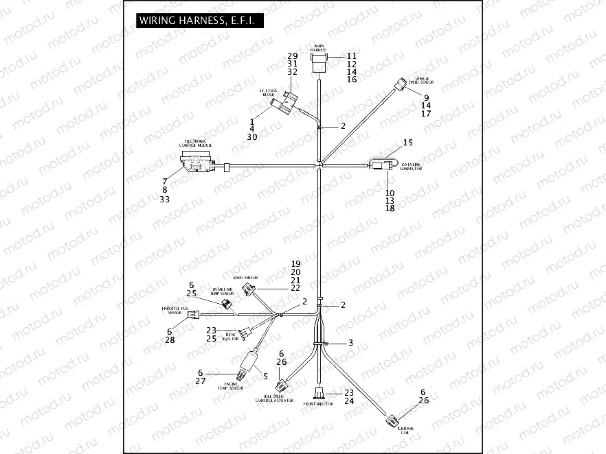 WIRING HARNESS, E.F.I.