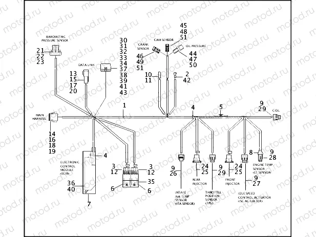 WIRING HARNESS, E.F.I. - FUEL INJECTED