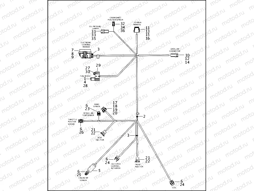 WIRING HARNESS, E.F.I. - FUEL INJECTED