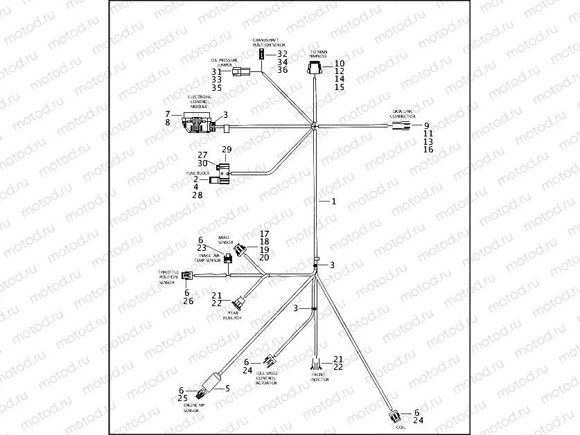 WIRING HARNESS, E.F.I. - FUEL INJECTED