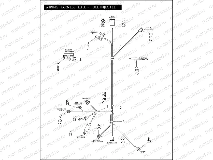 WIRING HARNESS, E.F.I. - FUEL INJECTED