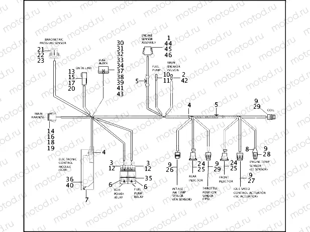 WIRING HARNESS, E.F.I. - FUEL INJECTED MODELS