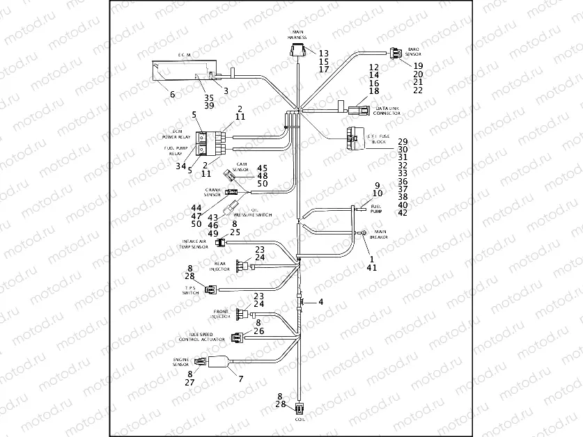 WIRING HARNESS, E.F.I. - FUEL INJECTED MODELS