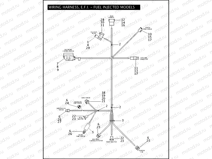 WIRING HARNESS, E.F.I. - FUEL INJECTED MODELS