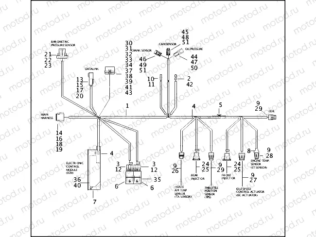 WIRING HARNESS, ELECTRONIC FUEL INJECTION SYSTEM