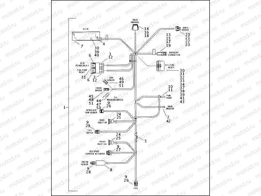 WIRING HARNESS, ELECTRONIC FUEL INJECTION SYSTEM