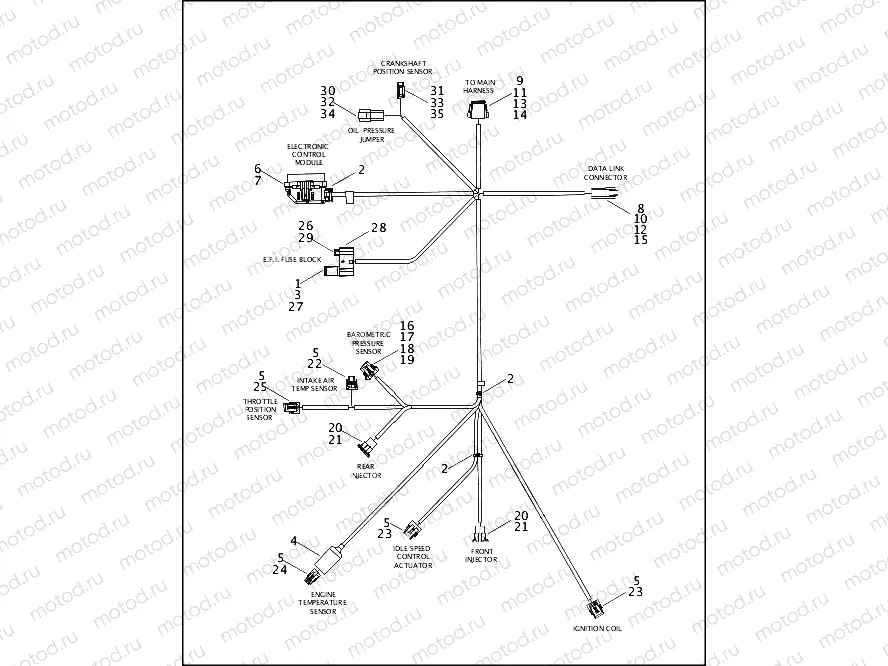 WIRING HARNESS, ELECTRONIC FUEL INJECTION SYSTEM