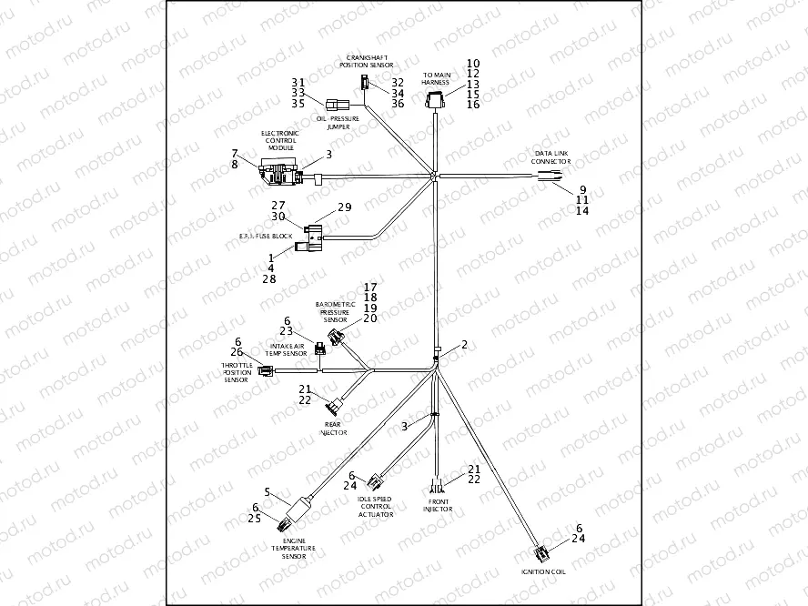 WIRING HARNESS, ELECTRONIC FUEL INJECTION SYSTEM
