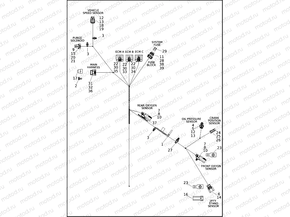 WIRING HARNESS, ENGINE (1 OF 3)