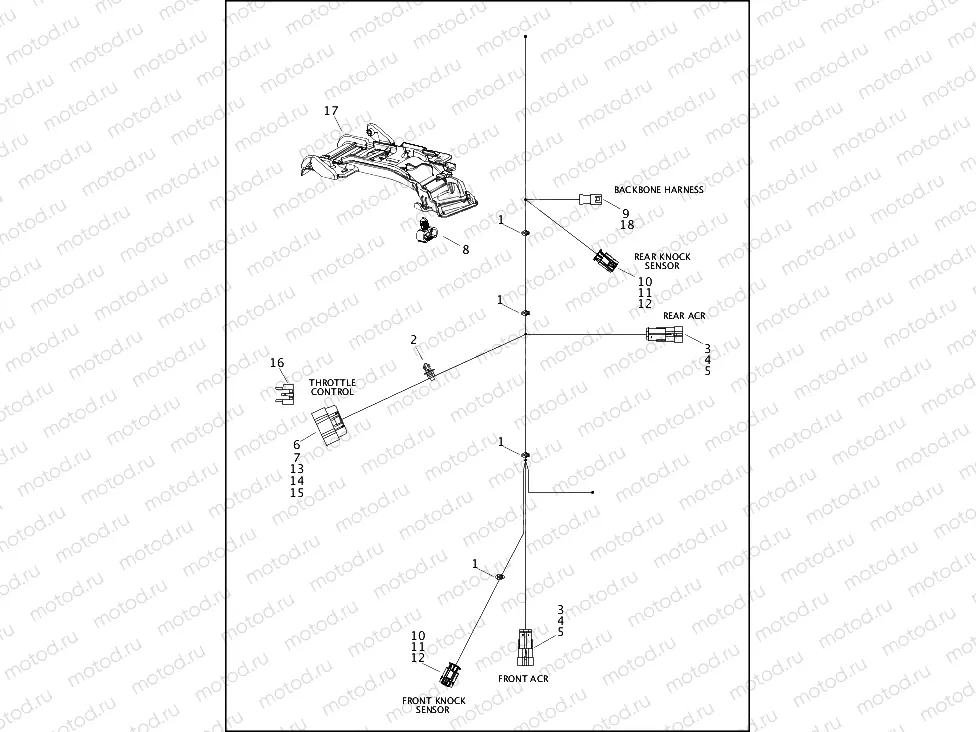 WIRING HARNESS, ENGINE (2 OF 3)