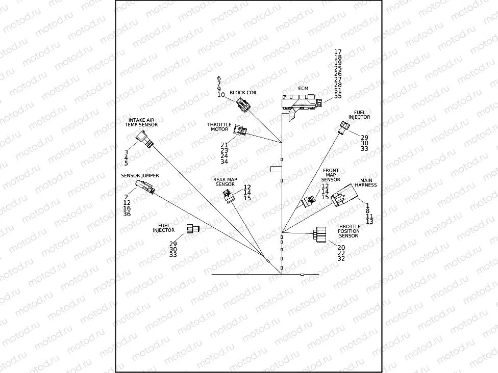 WIRING HARNESS, ENGINE (2 OF 4)