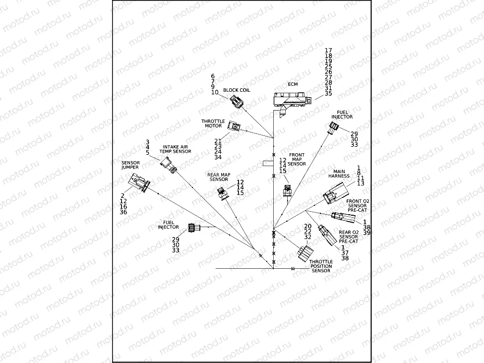 WIRING HARNESS, ENGINE (2 OF 4)