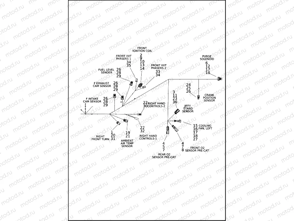 WIRING HARNESS, ENGINE (3 OF 4)