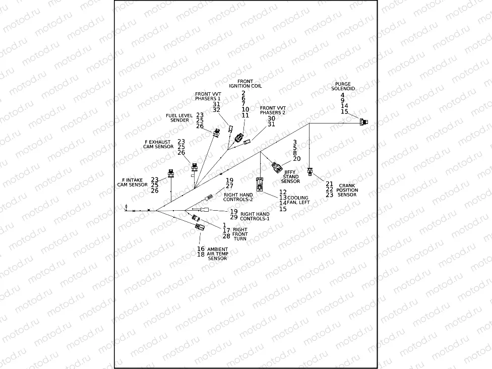 WIRING HARNESS, ENGINE (3 OF 4)