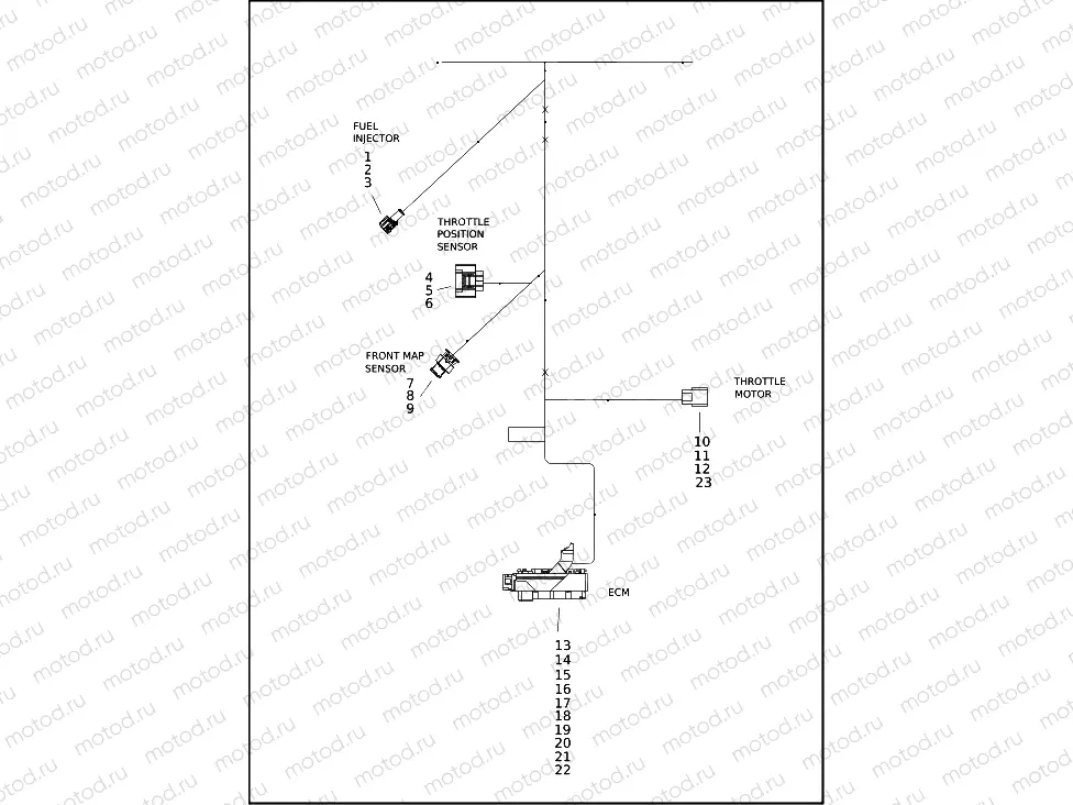 WIRING HARNESS, ENGINE (3 OF 4)