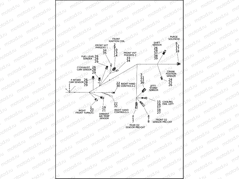 WIRING HARNESS, ENGINE (3 OF 4)