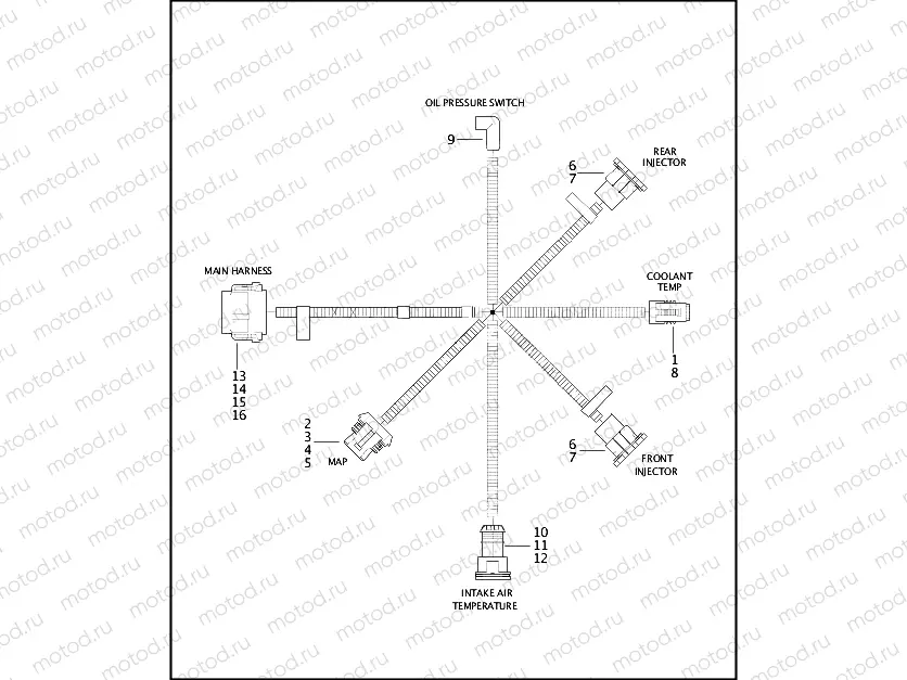WIRING HARNESS, ENGINE