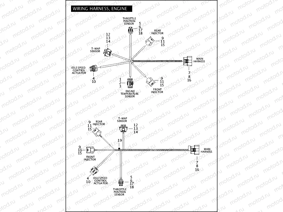 WIRING HARNESS, ENGINE