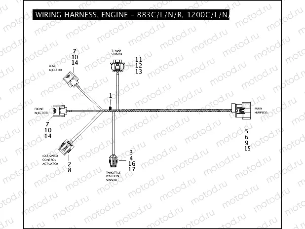 WIRING HARNESS, ENGINE - 883C/L/N/R, 1200C/L/N/X