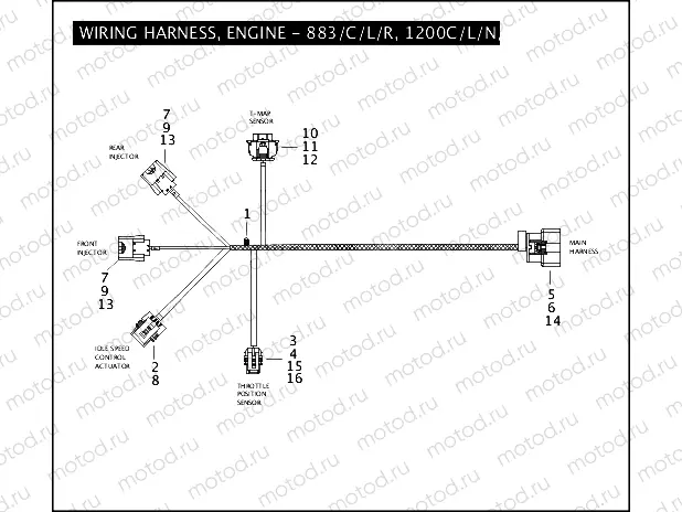 WIRING HARNESS, ENGINE - 883/C/L/R, 1200C/L/N/R