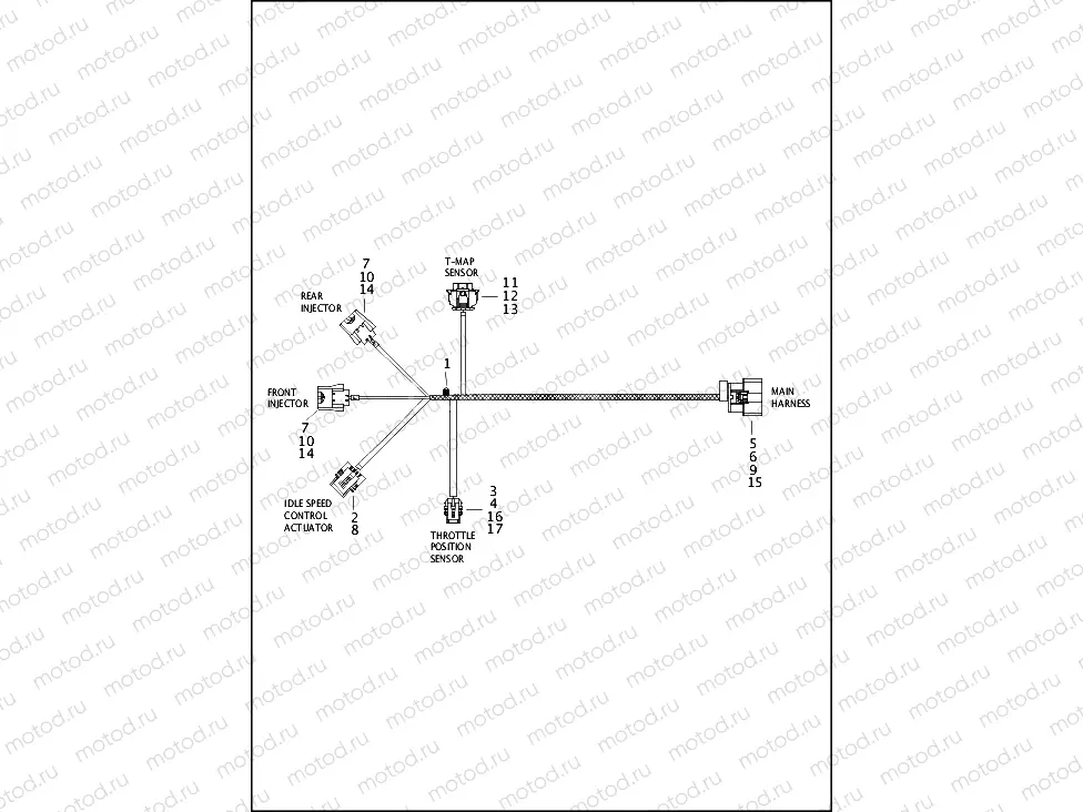 WIRING HARNESS, ENGINE - 883L/N/R, 1200C/CA/CB/CP/V/X