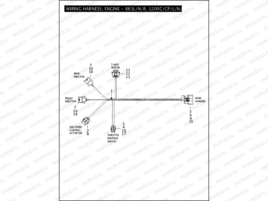 WIRING HARNESS, ENGINE - 883L/N/R, 1200C/CP/L/N/X
