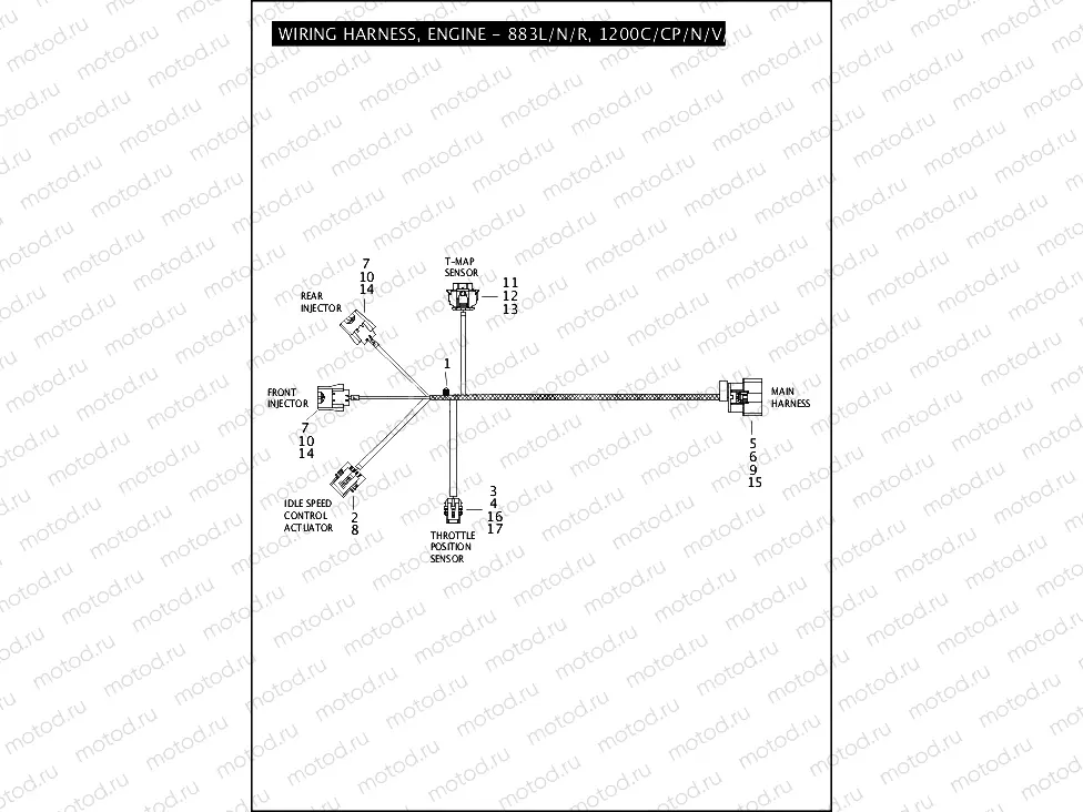 WIRING HARNESS, ENGINE - 883L/N/R, 1200C/CP/N/V/X
