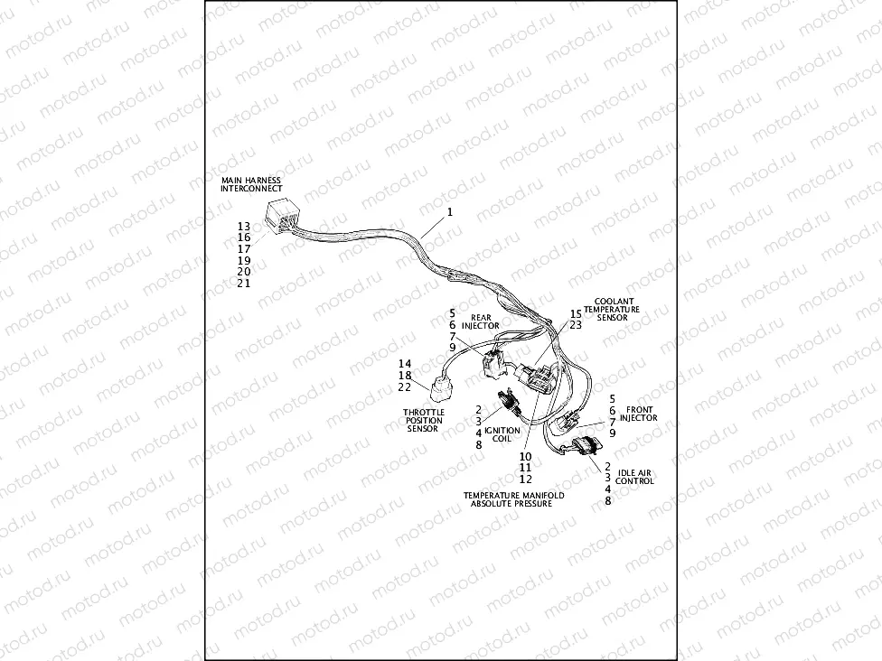WIRING HARNESS, ENGINE