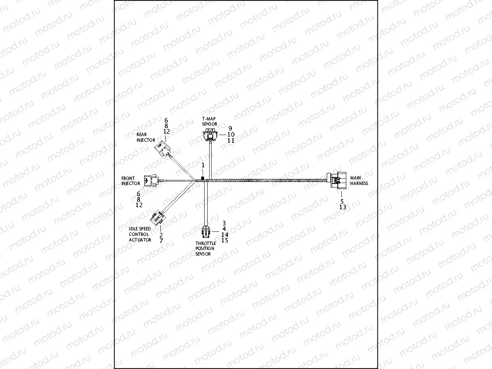 WIRING HARNESS, ENGINE