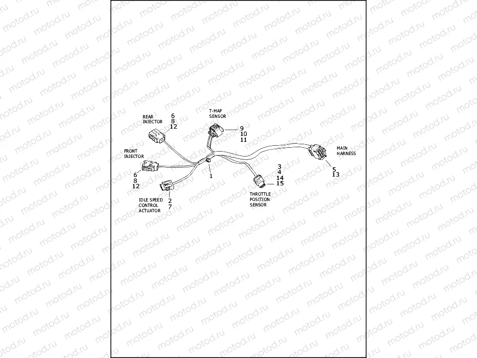 WIRING HARNESS, ENGINE