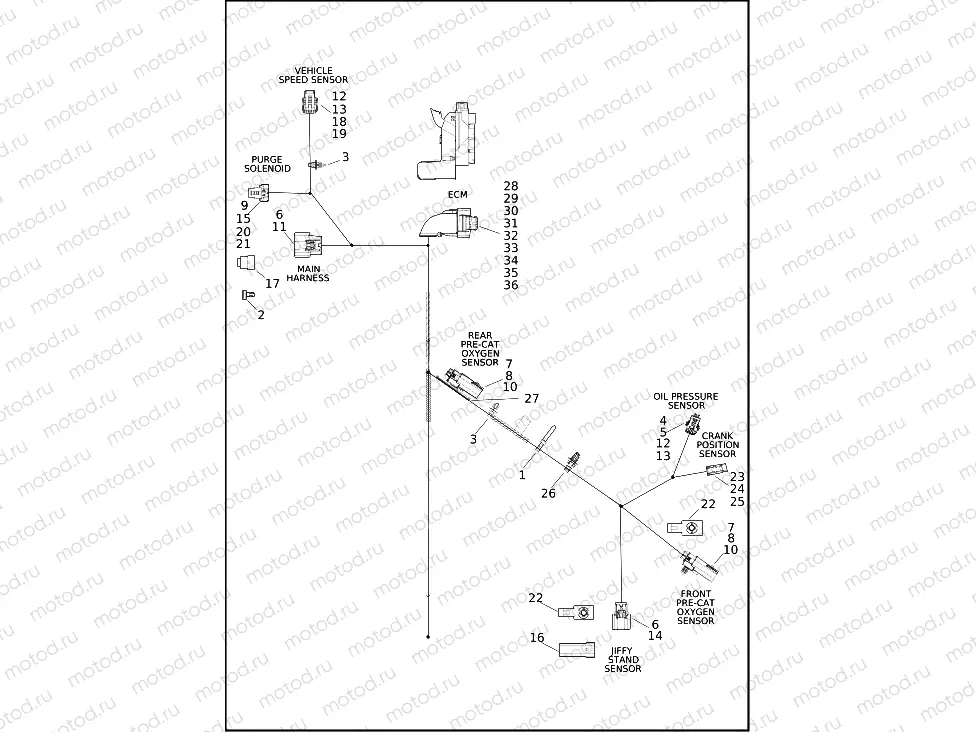WIRING HARNESS, ENGINE - FLFBS, FLHCS, FLSB, FXBBS, FXBRS, FXFBS, FXLRS, FXLRST, FXST, FXRST (2 OF 4)