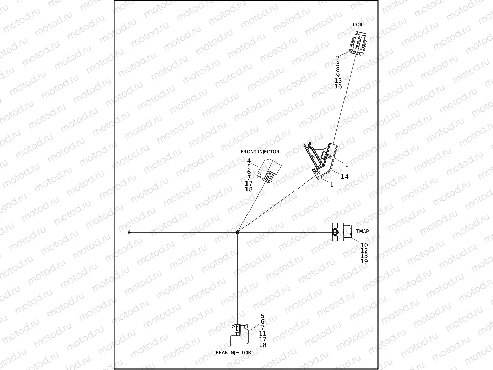 WIRING HARNESS, ENGINE - FLFBS, FLHCS, FXBBS, FXBR, FXLRS, FXLRST, FXST, FXBR (4 OF 4)