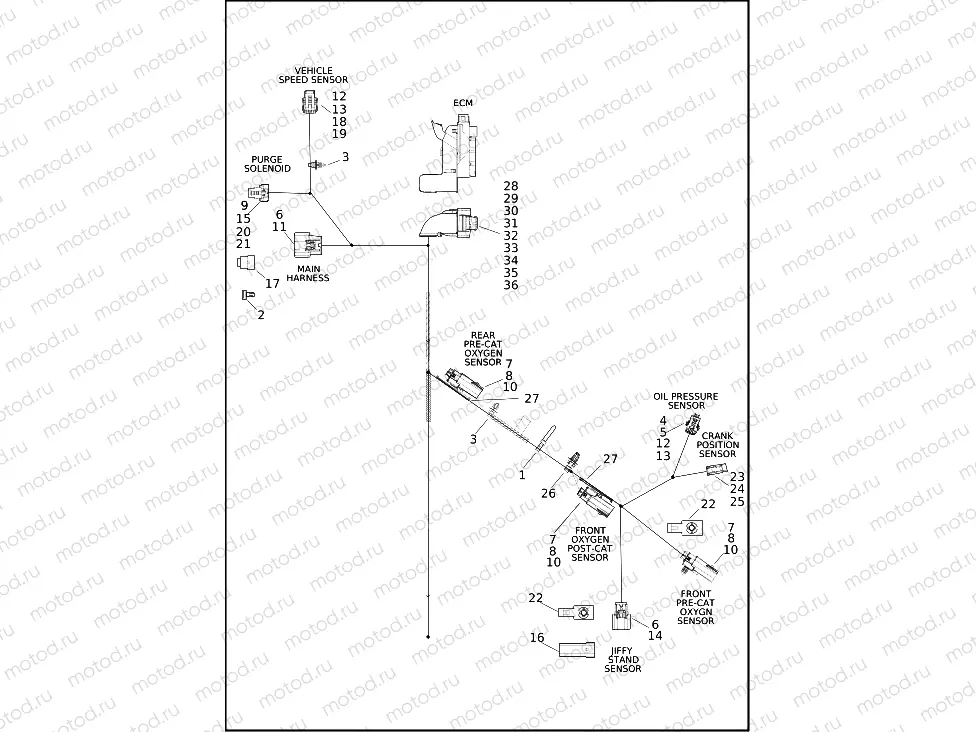 WIRING HARNESS, ENGINE - FLSB, FXFBS (1 OF 4)