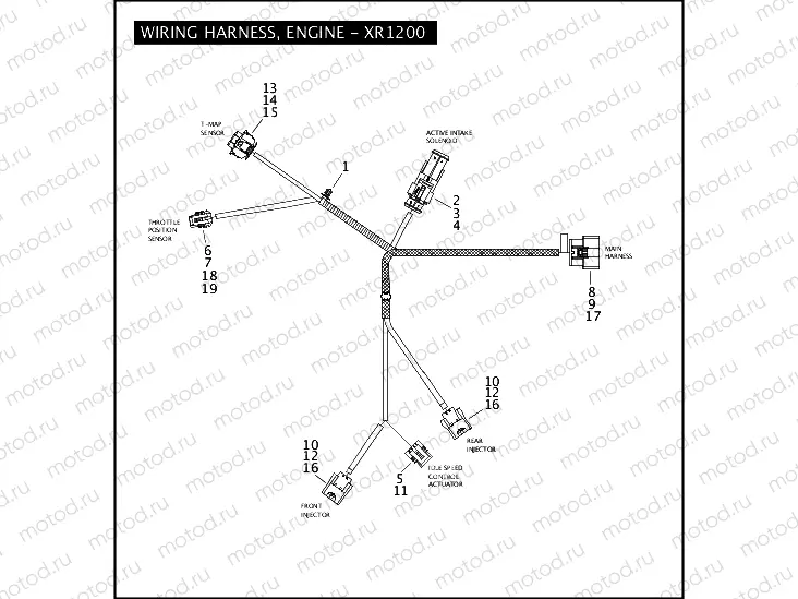 WIRING HARNESS, ENGINE - XR1200