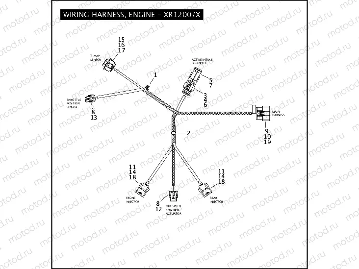 WIRING HARNESS, ENGINE - XR1200/X