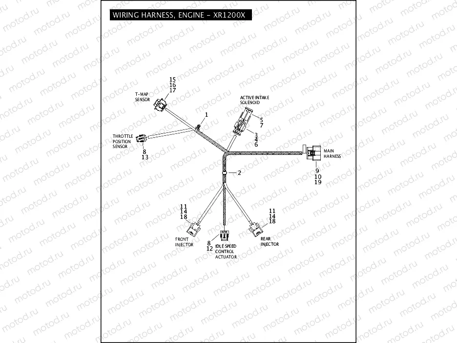 WIRING HARNESS, ENGINE - XR1200X