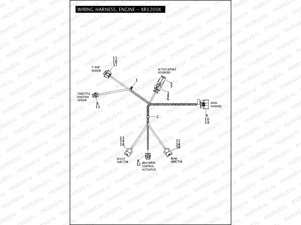 WIRING HARNESS, ENGINE - XR1200X