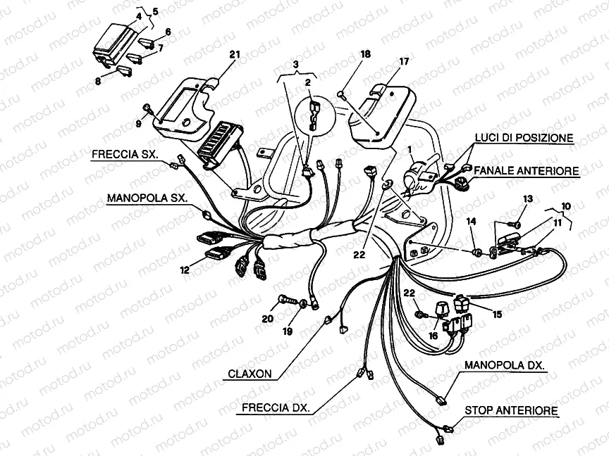 WIRING HARNESS FM 007706 » WIRING HARNESS