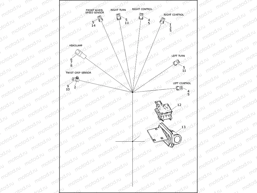 WIRING HARNESS, FRAME BACKBONE (2 OF 2)