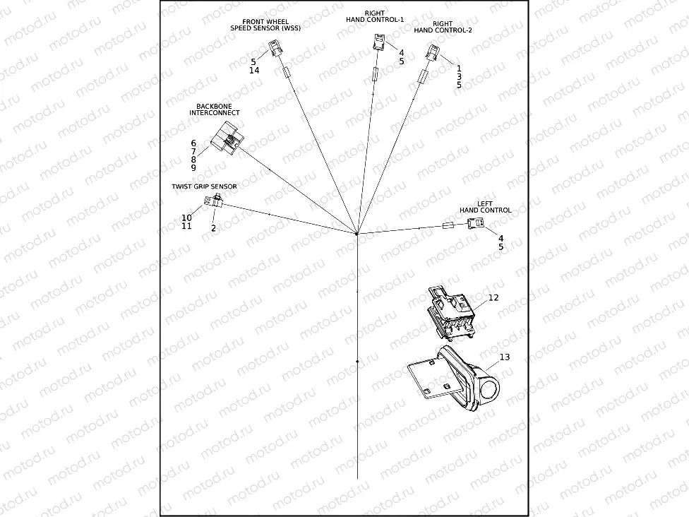 WIRING HARNESS, FRAME BACKBONE - FXLRST (2 OF 2)