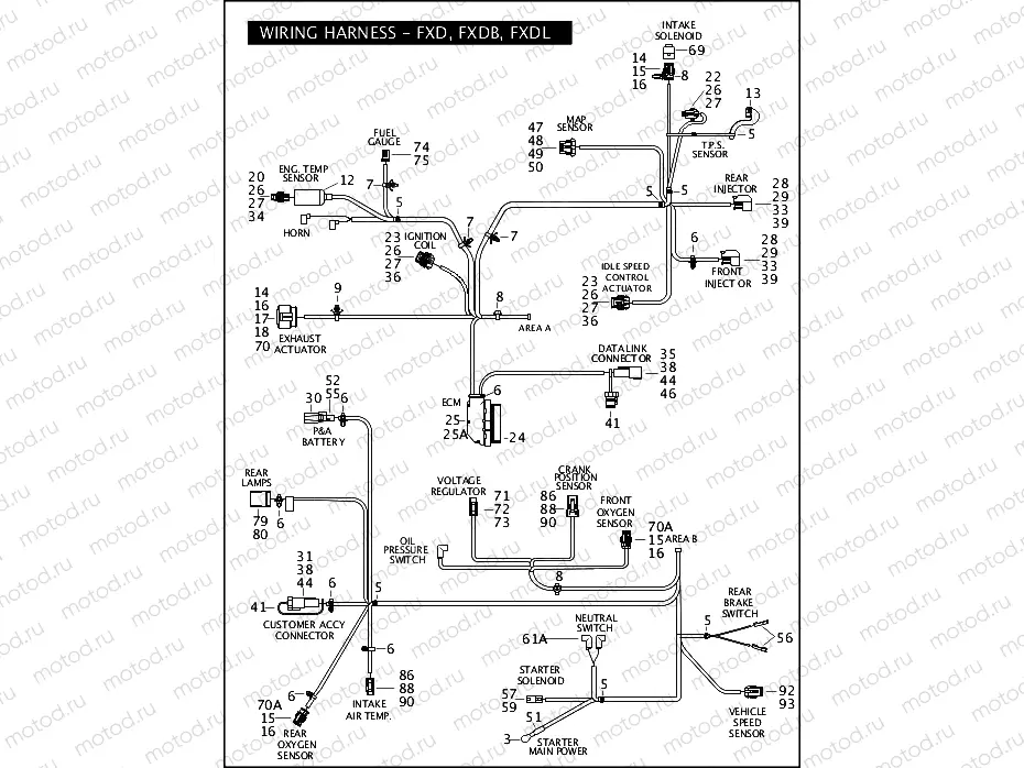 WIRING HARNESS - FXD, FXDB, FXDL (2 of 2)