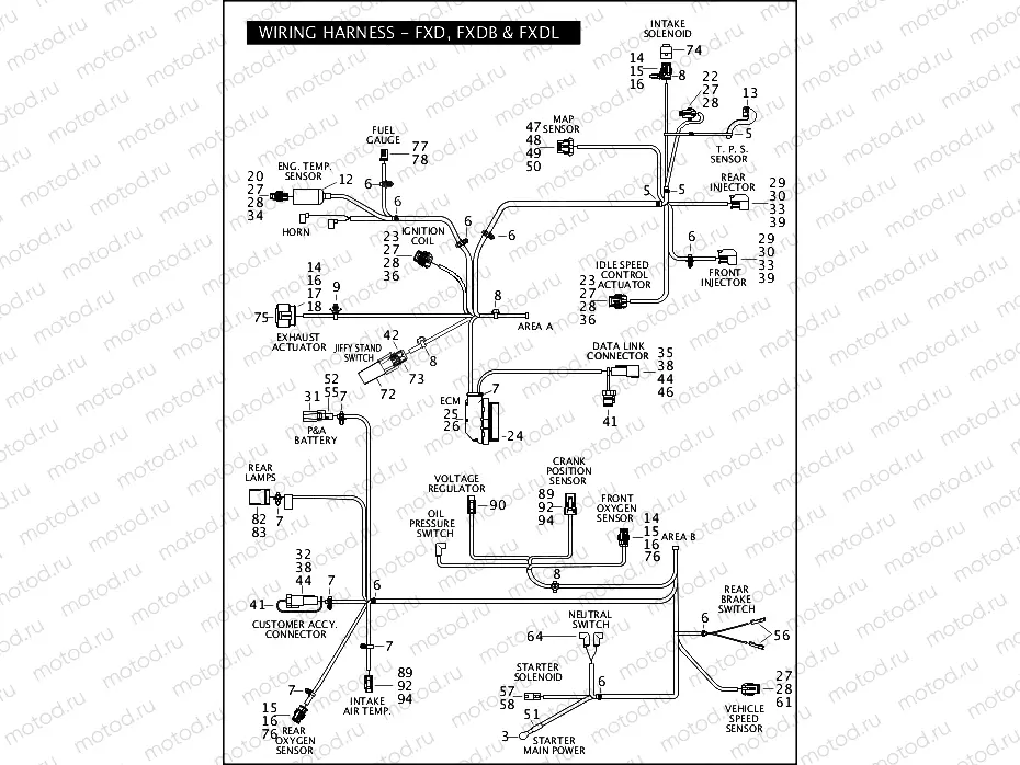 WIRING HARNESS - FXD, FXDB & FXDL (2 OF 2)