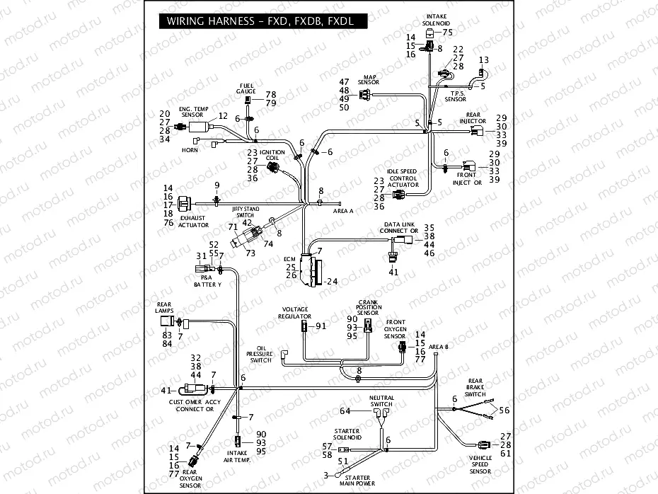 WIRING HARNESS - FXD, FXDB, FXDL (CONTINUED)