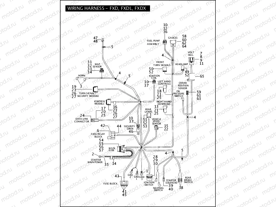 WIRING HARNESS - FXD, FXDL, FXDX (2 OF 2)