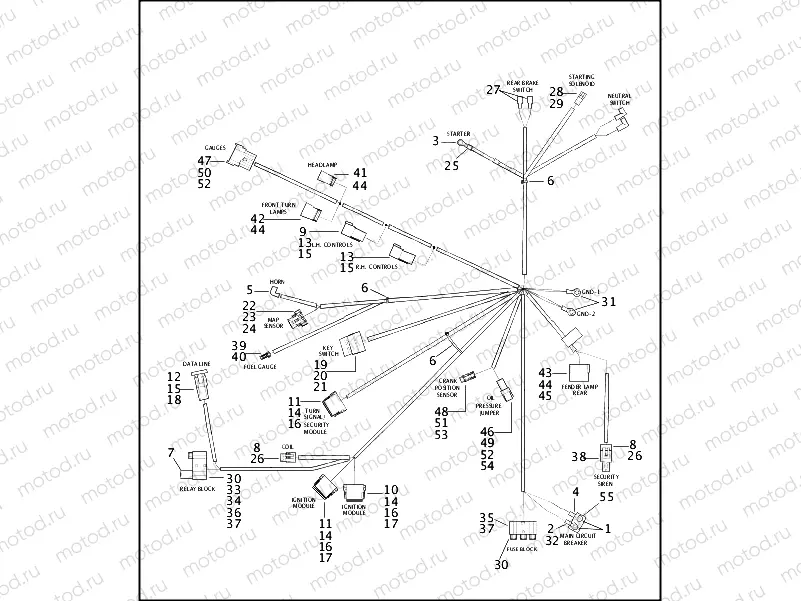 WIRING HARNESS - FXD, FXDL, FXDX & FXDXT (1 OF 2)