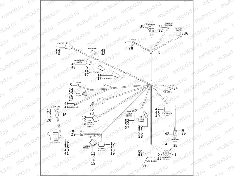WIRING HARNESS - FXD, FXDL, FXDX, FXDXT (1 OF 2)