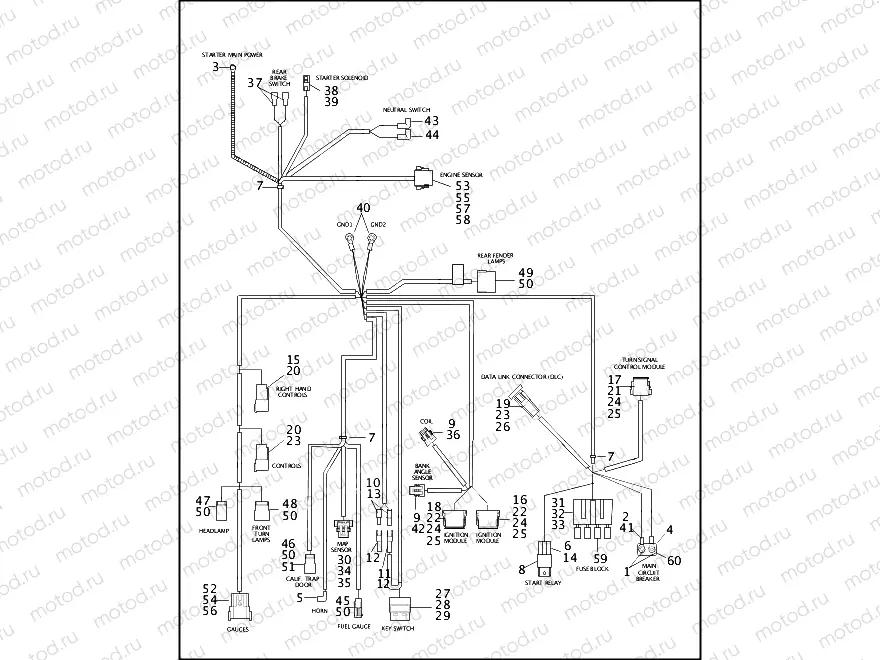 WIRING HARNESS - FXD, FXDSC, FXDL & FXDX (2 OF 2)