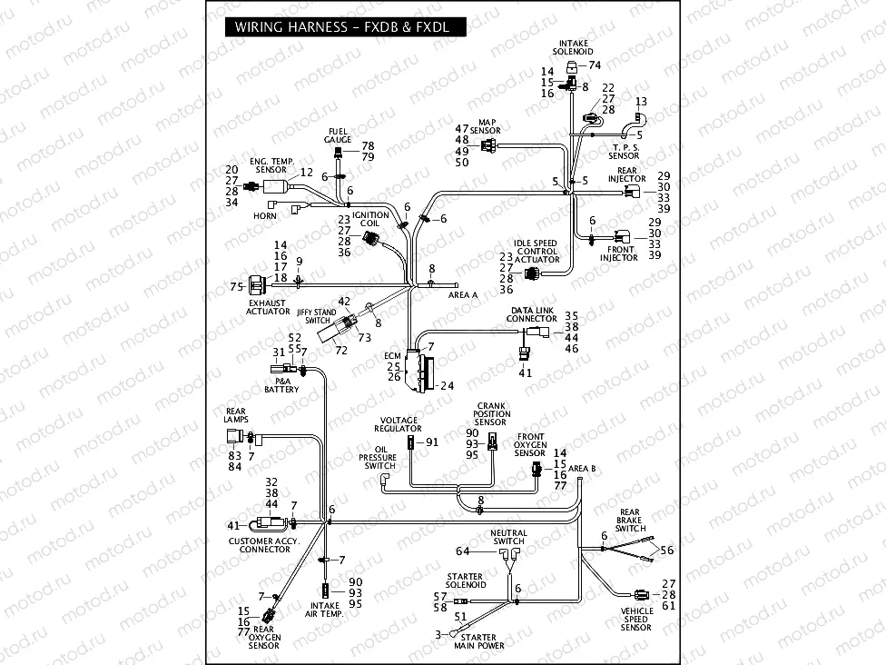 WIRING HARNESS - FXDB & FXDL (2 OF 2)