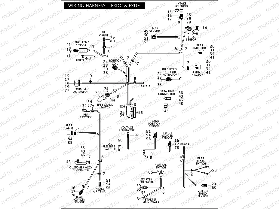 WIRING HARNESS - FXDC & FXDF (2 OF 2)