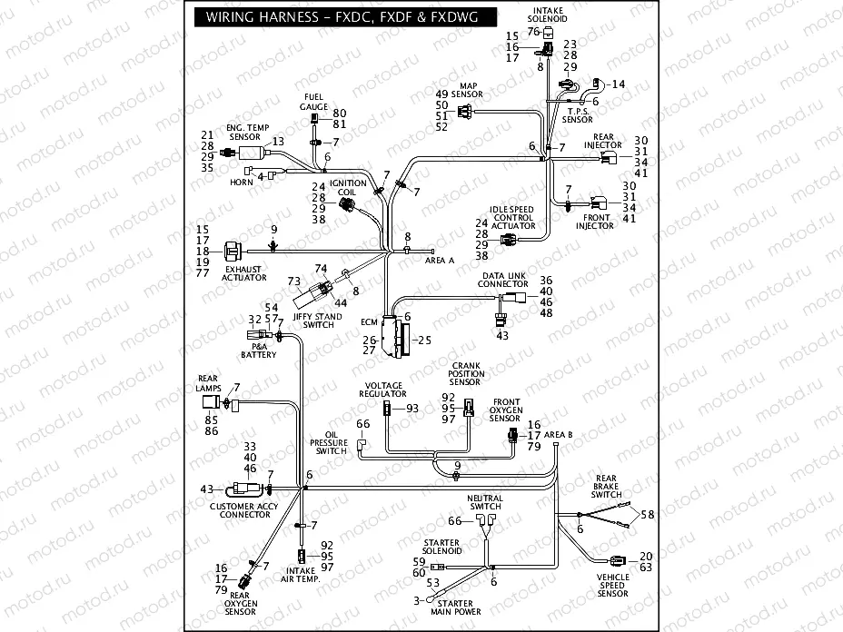 WIRING HARNESS - FXDC, FXDF & FXDWG (2 OF 2)